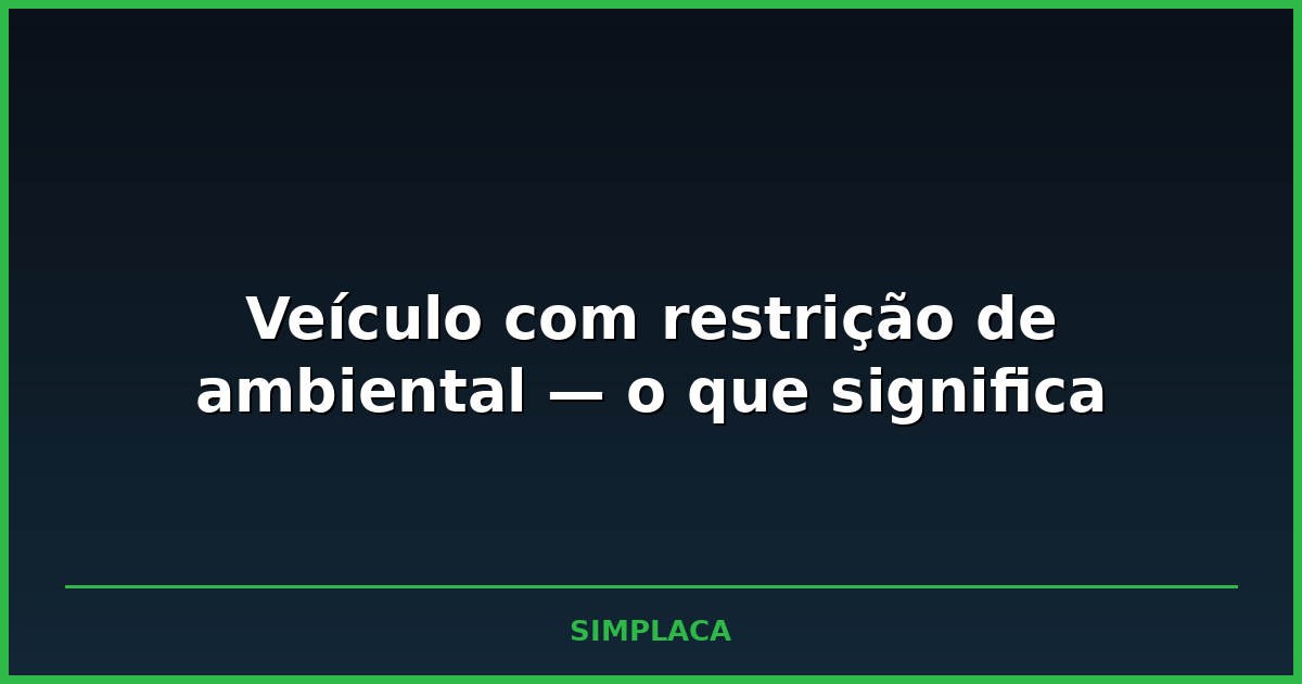 Tela de consulta veicular mostrando categorias de restrição do carro